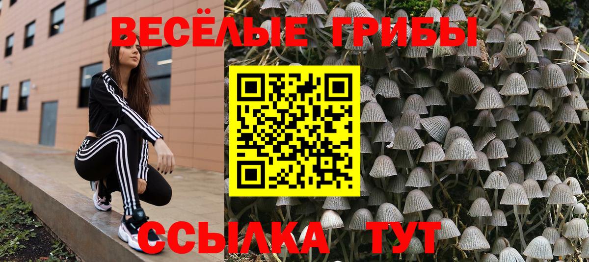 Псилоцибиновые грибы ЛСД Омск