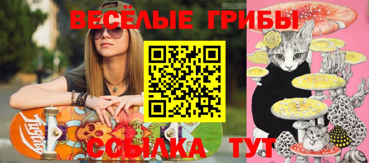 закладка  Псилоцибиновые грибы Psilocybe  Вход с VPN  Омск 